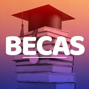 Convocatorias